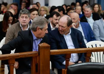 Sanz aparece y será protagonista en construir “el candidato” de la UCR para el 2027