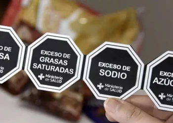 En medio del debate por los octógonos, un mendocino lanzó una IA para analizar alimentos
