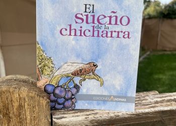 Orgullo sanrafaelino: la academia Línea Corporal Dance brilló en Brasil y trajo el oro internacional