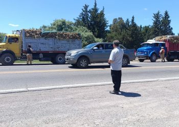 La matrícula profesional crece en el sur mendocino: juraron 17 nuevos profesionales en Ciencias Económicas