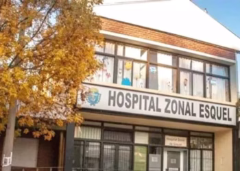 Alerta Chubut: El hantavirus golpea de nuevo y un paciente pelea por su vida en terapia intensiva