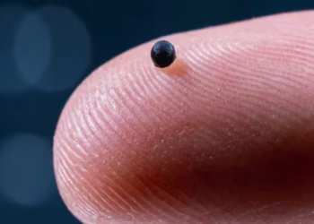 Crearon microrobots impulsados por IA que navegan a través de los vasos sanguíneos
