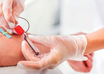 Cambios en el sistema de donación de sangre: cómo es el nuevo modelo totalmente voluntario y más seguro