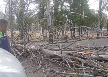 El viento zonda sopla fuerte en San Rafael y se prevé se extienda hasta el jueves