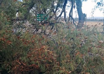 El viento zonda sopla fuerte en San Rafael y se prevé se extienda hasta el jueves