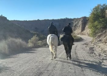 Rastrillaje exitoso: La Policía de Mendoza localizó al hombre perdido tras un  importante despliegue de la Montada