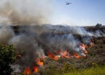 Un incendio forestal en el sur de California obliga a evacuar a más de 17.000 residentes