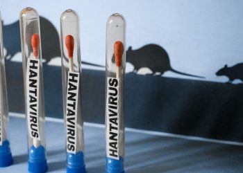 Hantavirus en Mendoza: El enigma de los «pacientes cero» que enciende las alarmas