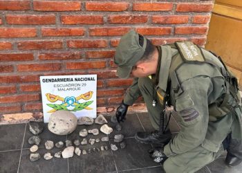 Sur de Mendoza: Hallan piezas pétreas “Amonites” cuando controlaron un automóvil