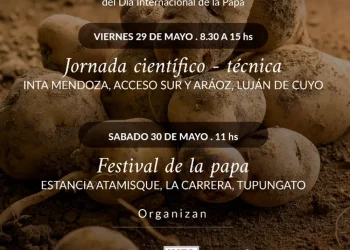 Jornada técnica y festival gastronómico pondrán a la papa en el centro de la escena en Mendoza