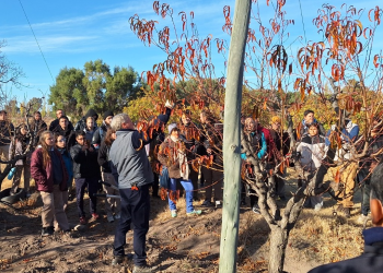 Con gran número de asistentes, iniciaron las capacitaciones en poda de frutales y vid dictadas por el municipio y el INTA