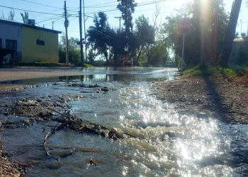 Irrigación respondió tras la polémica por el agua en Los Corralitos y cruzó a la UNCuyo por los informes