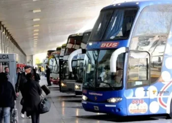 ¿Qué pasará con los pasajes gratuitos?: eliminan el pago a las empresas por viajes para personas con discapacidad