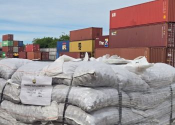 Mendoza ante el acuerdo Mercosur-UE: oportunidades y desafíos para la producción local