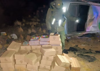 Contrabando insólito en Mendoza: Escapó de los controles con un cargamento de figuritas del Mundial valuado en $17 millones y volcó