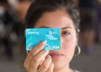 ANSES: aumenta un 38% el Plan Alimentar y llegará a casi $150 mil para familias con más de 3 hijos
