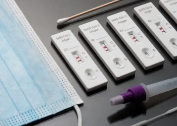 Hantavirus: qué es la prueba RT-PCR y cómo funciona para detectar la infección