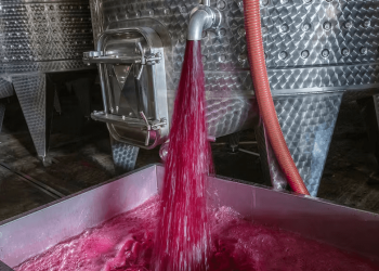 Vino a granel: el sector apuesta a la exportación para equilibrar la balanza ante la caída del consumo interno  