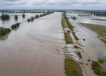Declaran la emergencia agropecuaria en varios departamentos de Santa Fe por inundaciones