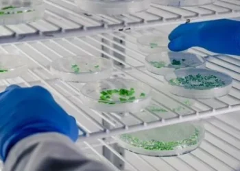 Economía lanzó concurso para acceder al régimen de promoción para biotecnología y nanotecnología