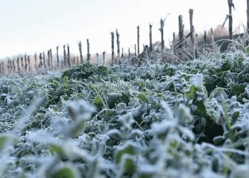 El invierno comenzó con temperaturas extremas y registros de hasta 9,5 bajo cero en San Rafael
