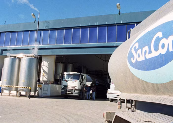 SanCor busca dueño: la Justicia reactiva el futuro de la histórica láctea tras la quiebra