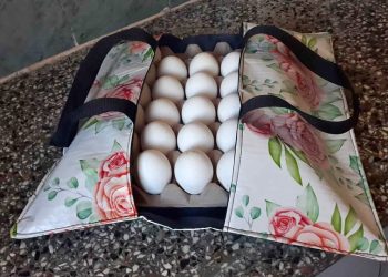 Tendencia: las bolsas “porta maple de huevos” se vuelven virales y ya se consiguen en San Rafael