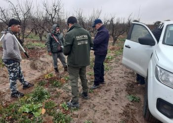 Detectan otros dos casos de trabajo rural irregular en San Rafael y uno en General Alvear