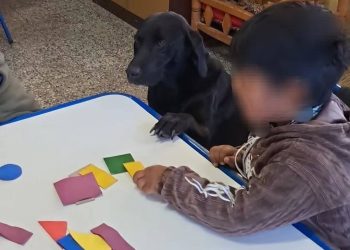 Patitas, la alumna de «hocico y cuatro patas» que se ganó un lugar en el corazón de todo un jardín de Cañada Seca
