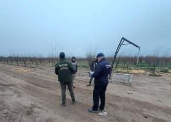 Detectan trabajadores sin registrar e irregularidades laborales en una finca de Villa Atuel