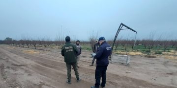 Detectan trabajadores sin registrar e irregularidades laborales en una finca de Villa Atuel