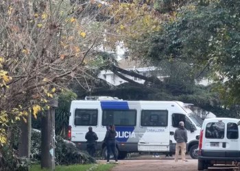 Los primeros detalles oficiales de la muerte del Indio Solari: lo encontró su cuidadora al lado de la pileta
