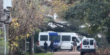 Los primeros detalles oficiales de la muerte del Indio Solari: lo encontró su cuidadora al lado de la pileta