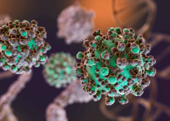 Hantavirus: se notificaron nuevos casos y la totalidad de los mismos asciende a 47
