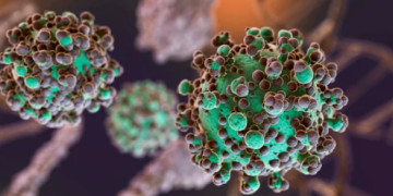 Hantavirus: se notificaron nuevos casos y la totalidad de los mismos asciende a 47