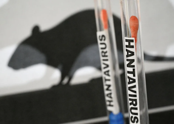 Confirman un nuevo caso de hantavirus en Bariloche
