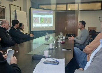 Éxito sanitario en el viñedo: Mendoza redujo un 70% la polilla de la vid tras una inversión de 14 millones de dólares