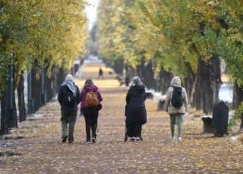 Fin de semana frío en Mendoza, con lluvias aisladas y vientos del sur