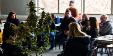 Realizarán en San Rafael un taller sobre cannabis medicinal, derechos y acceso seguro