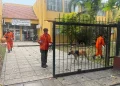 Encontraron sana y salva la chica de 15 años que había desaparecido en Colonia Caroya