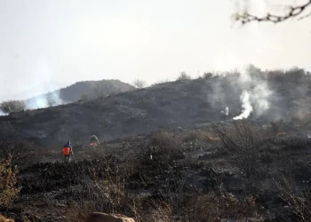 Las millonarias multas que pagarán en Mendoza quienes dañen el ambiente
