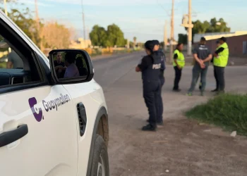 Mendoza en alerta: paso a paso de cómo denunciar infracciones de tránsito por WhatsApp