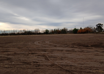 El municipio adquirió un terreno para que se puedan hacer viviendas en Jaime Prats