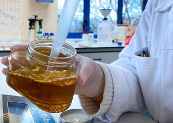 Presentarán avances de una investigación sobre las propiedades y usos gastronómicos de las mieles mendocinas