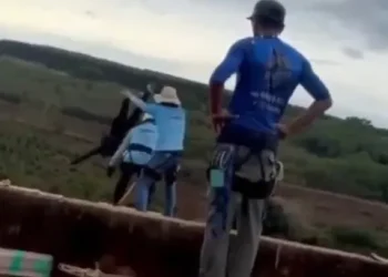 El mensaje premonitorio de la mujer que murió en Brasil: «¿Quién fue el loco que me dejó saltar de un puente?»