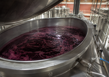 El vino que gana mercado en medio de la crisis y que se benefició del acuerdo con la Unión Europea
