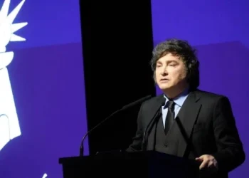 Repuntó la imagen de Milei impulsada por factores económicos