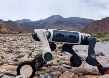 Crearon un perro robot con ruedas en las patas que atraviesa ríos, hielo y es ideal para inspeccionar redes eléctricas