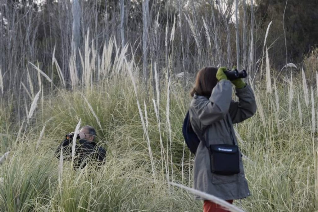 Con charlas sobre naturaleza buscan reunir fondos para plantar más árboles y especies nativas
