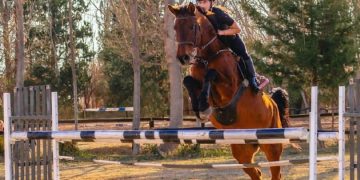 En Haras Austral se vivió un nuevo concurso de saltos hípicos